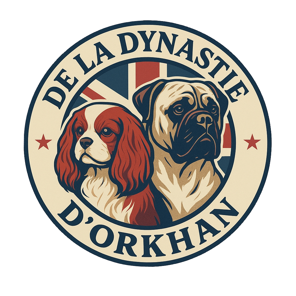 Logo de l’Élevage de la Dynastie d’Orkhan